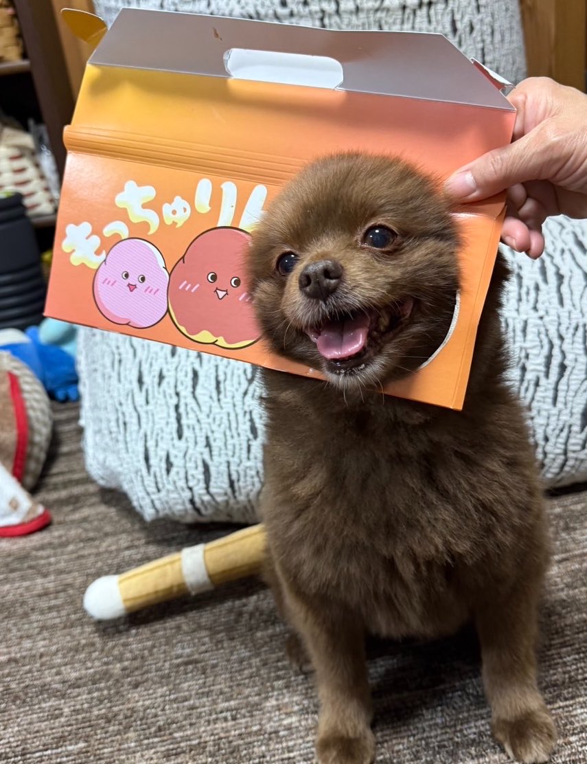 KAGOpna's tweet photo. https://t.co/HGYrLV3NeW