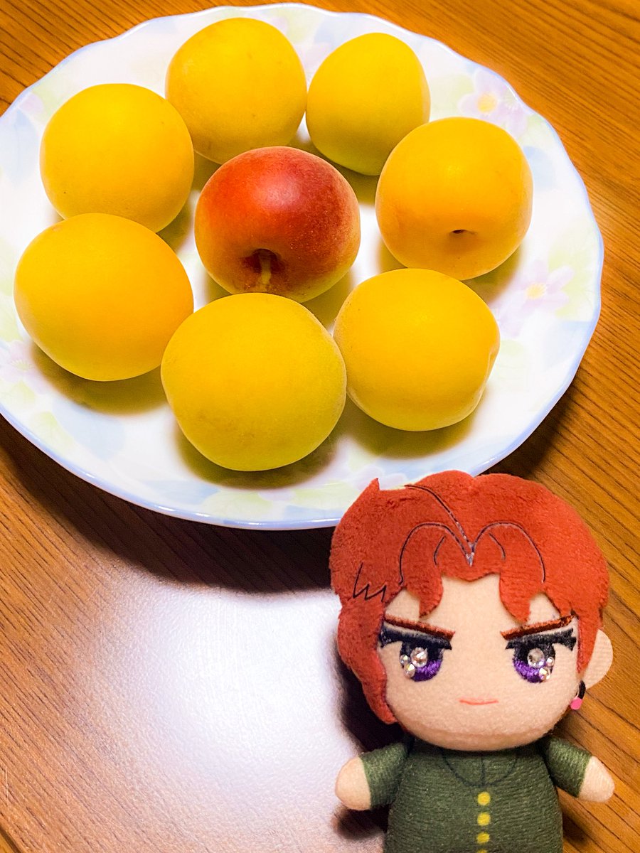 yakouseiLevel32's tweet photo. ｲﾏｼﾞﾅﾘｰ院「完熟になったので梅ﾀ¨ｰｼ¨ﾘﾝ作っておきました。いえ、お礼は結構です。
味見は冷やしてからのお楽しみですよ。
午後もお仕事頑張ってくださいね？」 https://t.co/3SZXuGsWuV