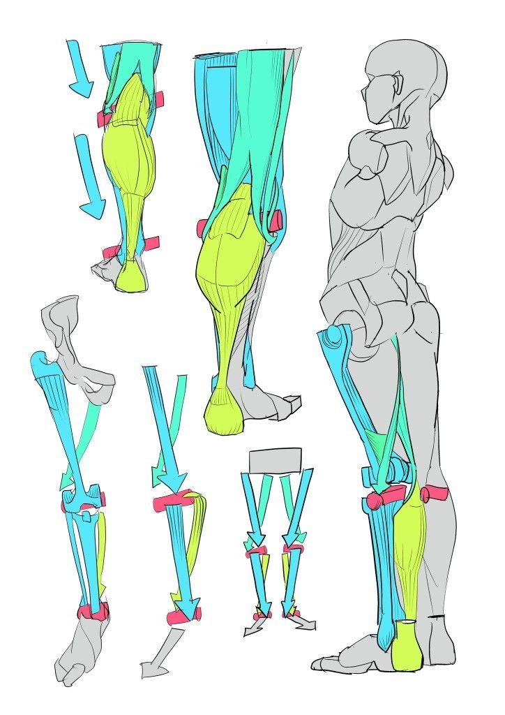 ChromaFlowx's tweet photo. the leg has more going on than most artists' entire figures https://t.co/Pqh8abTghY
