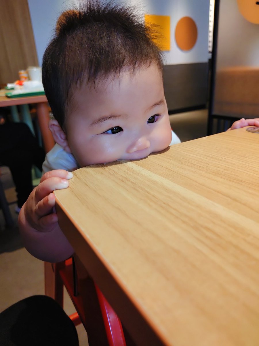 nyanmaru723's tweet photo. 机にかじりついてる https://t.co/e7V6p8IvXc
