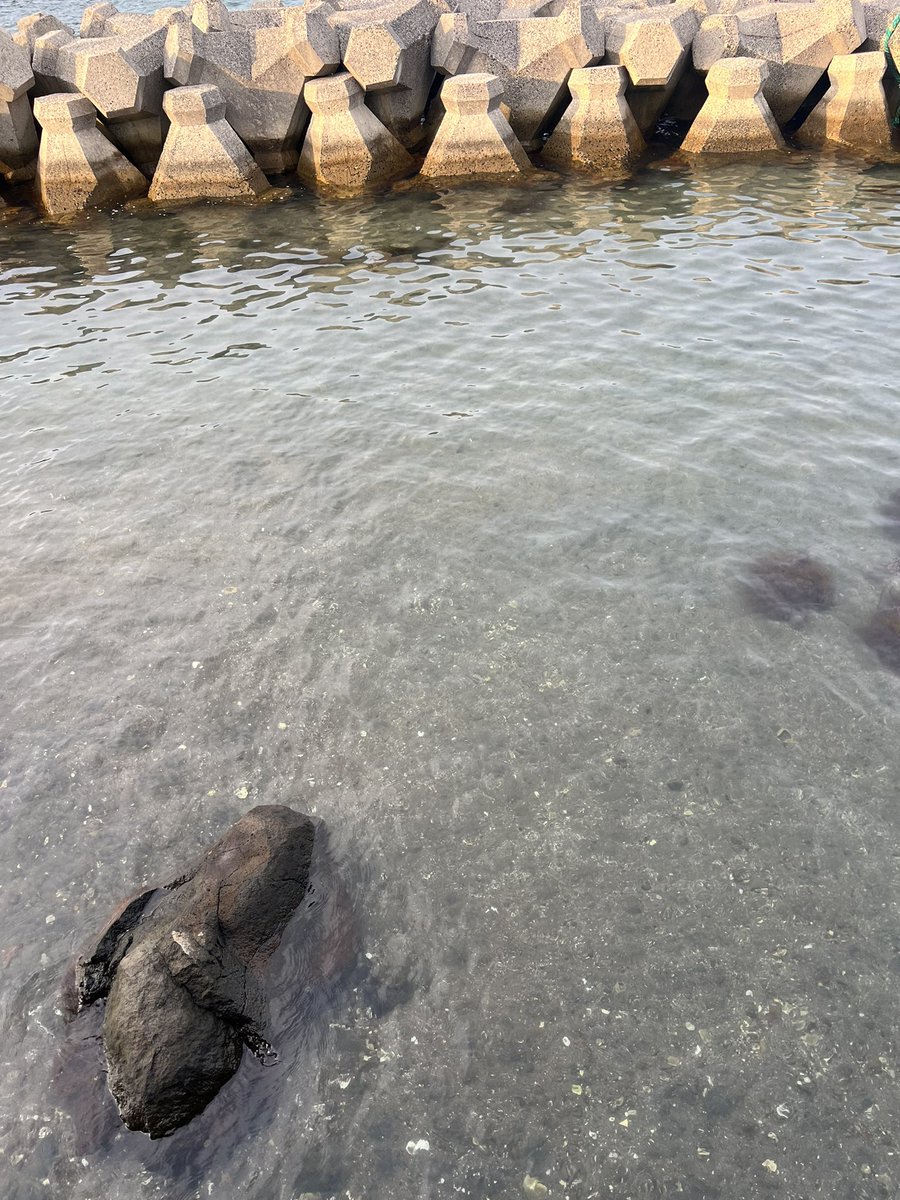 michelle__rad's tweet photo. 綺麗すぎる海のそばでのーんびり過ごす日々。🏖️ https://t.co/Evg9hLbvwS