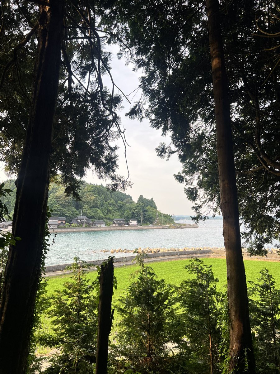 michelle__rad's tweet photo. 綺麗すぎる海のそばでのーんびり過ごす日々。🏖️ https://t.co/Evg9hLbvwS