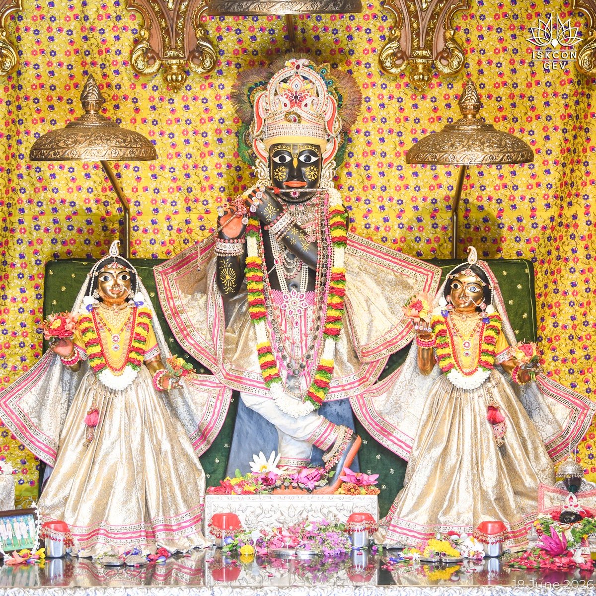 IskconGev's tweet photo. 🌟Today’s Blissful Sringaar Arati Darshan🌟
🌸 Sri Sri Radha Vrindaban Behari &amp; Gauranga Mahaprabhu 🌸
🌺Sri Sri Radha Madanmohan &amp; Giriraj Ji🌺
#DailyDarshan #RadhaVrindabanBehari #GovardhanEcoVillage #Prabhupada #ISKCON https://t.co/shLcCgGOWe