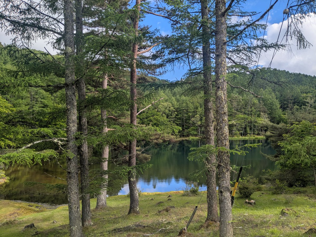apple3apple4's tweet photo. 会社員時代の東京支社の同期が信州に来たので色々案内した。中でも彼女が「鳥肌が立った」と言ったのが御射鹿池（みしゃかいけ）。東山魁夷の絵画のモデルとなった場所。私も信州の絶景ベスト３に入るほど気に入っている場所。長野市の東山魁夷美術館所蔵で、家にもポスターを購入し飾っている。 https://t.co/4wXOZ40NZR