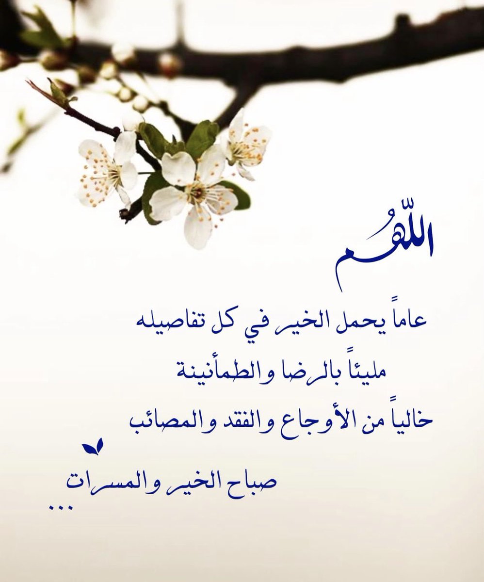 world_salami's tweet photo. #صباح_الخير  على قُلوبِكُم الطَّيِّبَة. 🤍 https://t.co/BORT2hHCT1