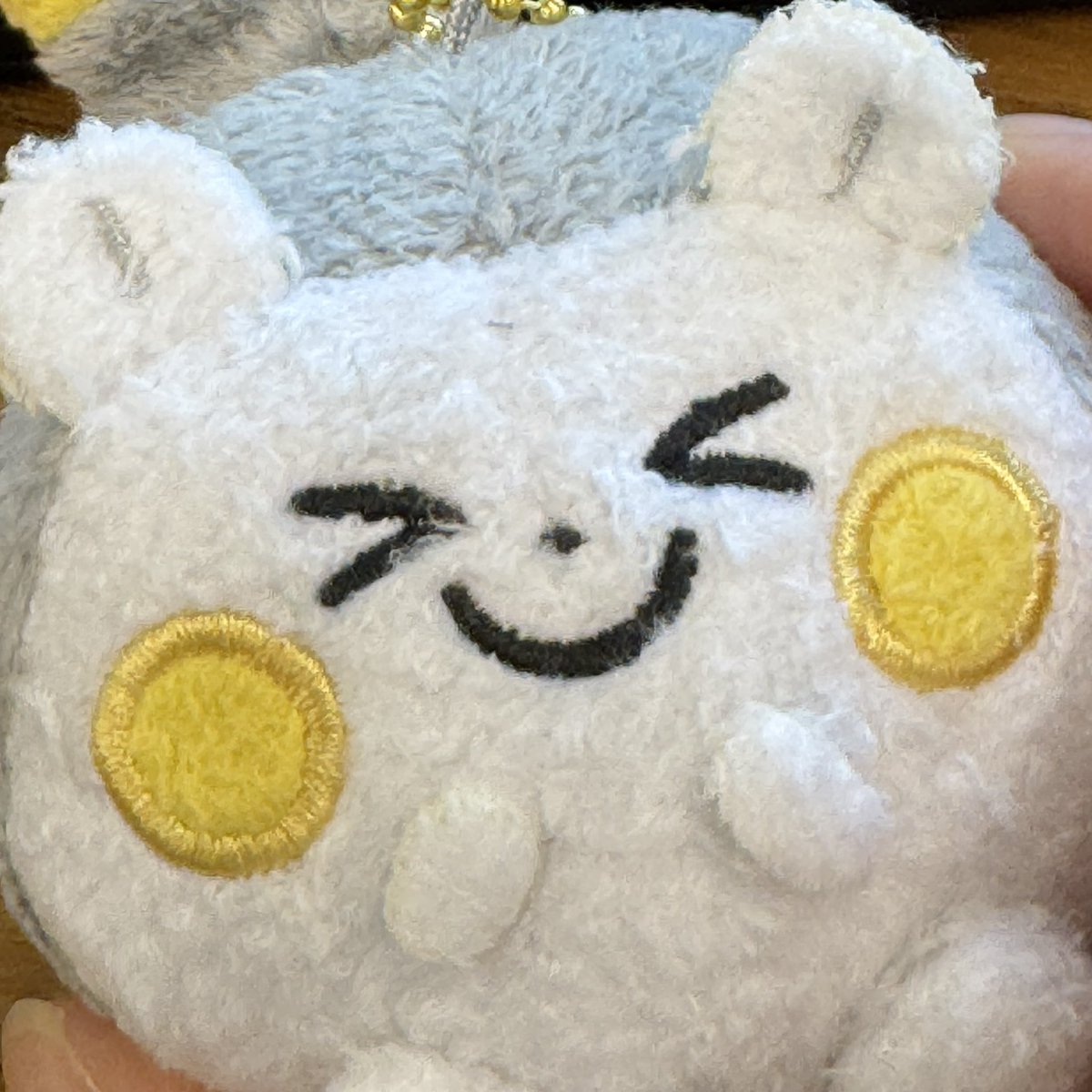 마효의 팽도리 tweet media