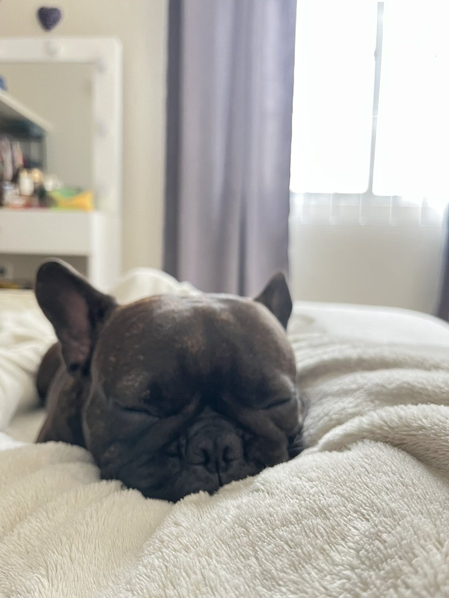 danieelavm's tweet photo. te amo Nala María, estás bien loquita pero no sé qué haría sin ti 🤎 https://t.co/hmPmBhV2VF