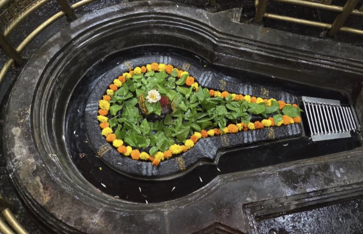 12Jyotirling's tweet photo. श्री भीमाशंकर ज्योतिर्लिंग मंगला आरती श्रृंगार | 18.06.2026

Shri Bhimashankar Jyotirlinga Mangala Aarti Shringar | 18.06.2026 https://t.co/R3DjHtSI6V