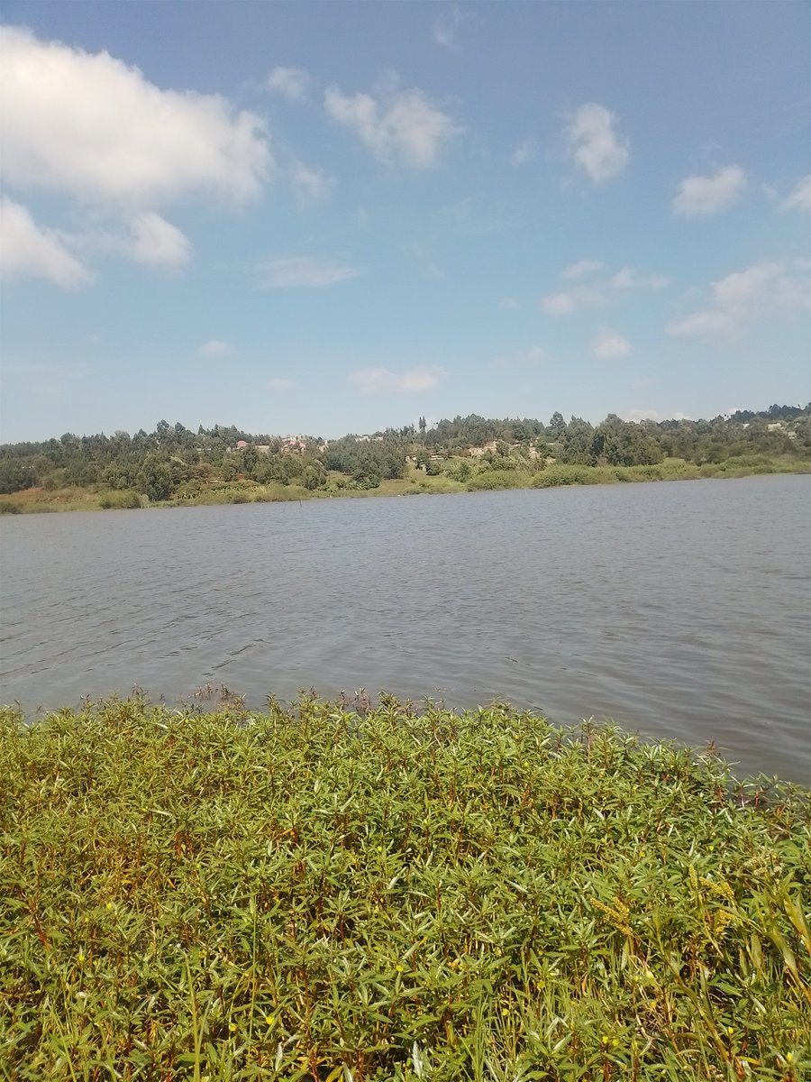 MrKaranjaKe's tweet photo. Good morning friends of Karanja Ng'ethe 🌄 https://t.co/WCGvg6F1Im