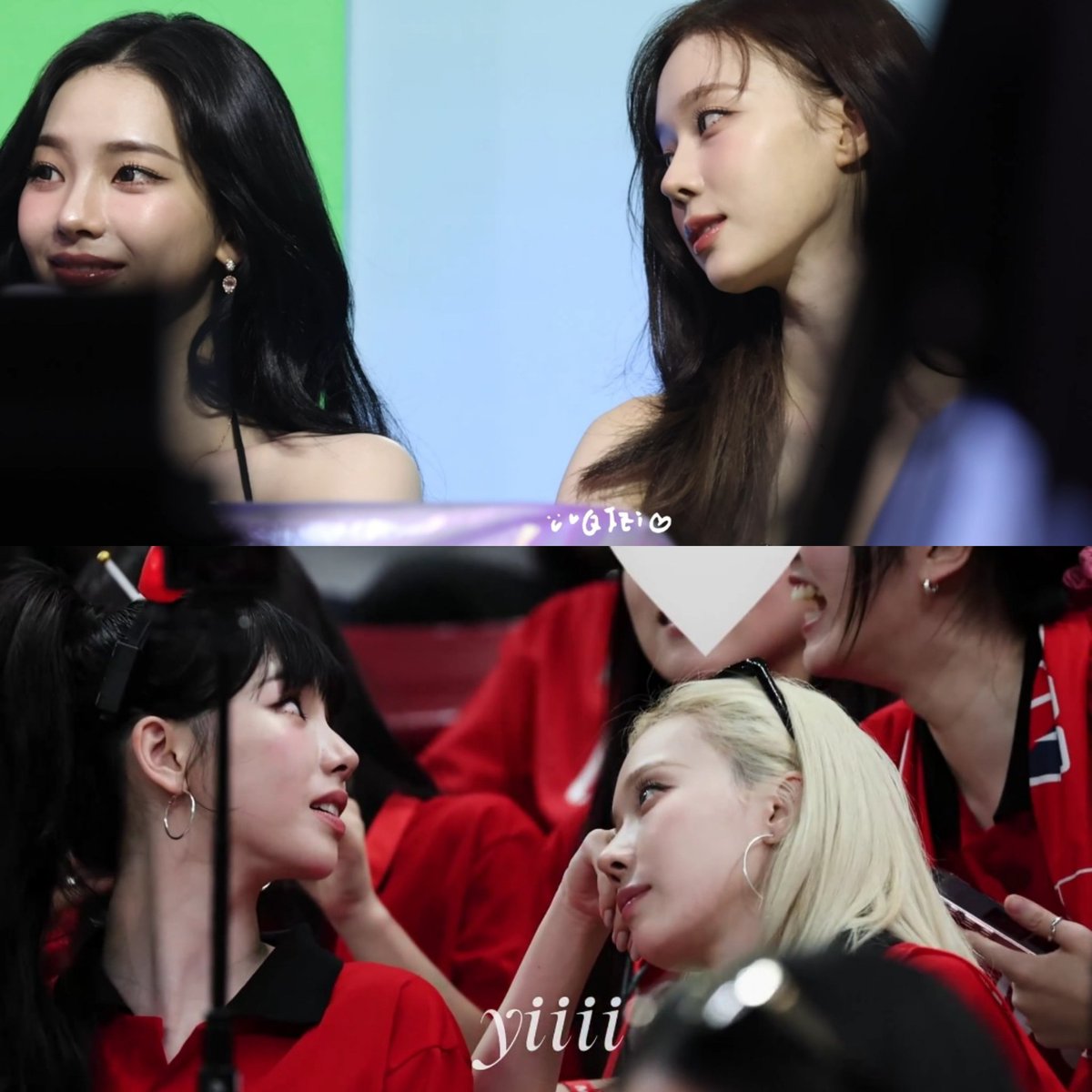 팔냥 tweet media