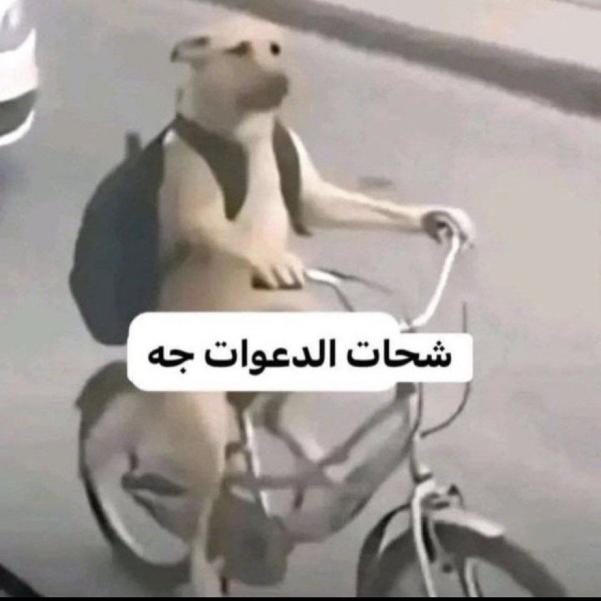 _s9s2's tweet photo. أنا مع اي بنت أساعدها https://t.co/RZbjRMNwIY