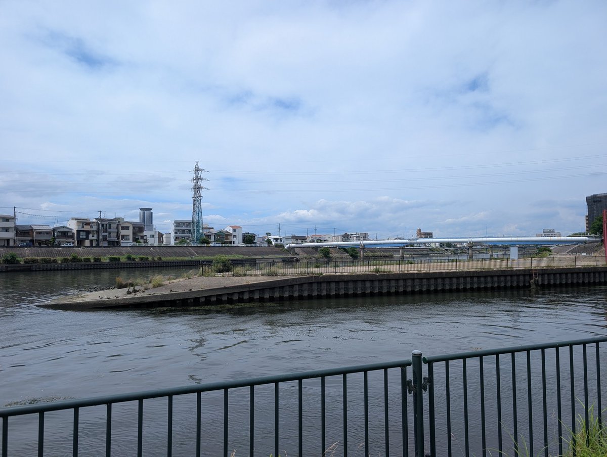 Mindoor3's tweet photo. 神崎川さん こんにちは。

久しぶりにここら辺から様子見て淀川さんへ行こうと思います。

さっきカワウが多分ウナギであろう魚を掴んでる所を見てココにウナギおるんや！と何かテンション上がりました🤣

色々楽しませてもらいます🙏 https://t.co/gdDS3WP9o5