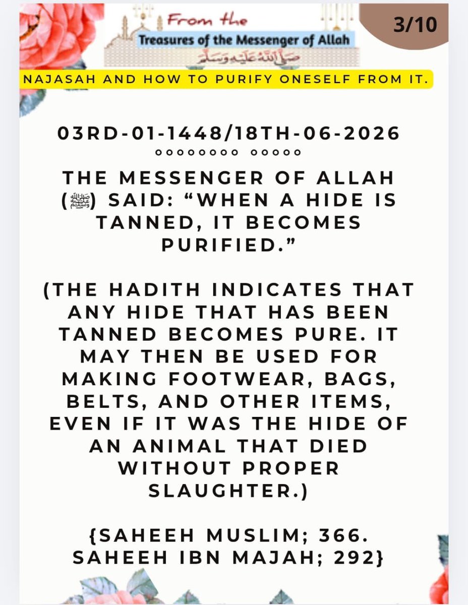 AYmaigida's tweet photo. FROM THE TREASURES OF THE MESSENGER OF ALLAH (S A W)💙💙💙
Najasah and how to purify oneself from it 
03-01-1448                     18-06-2026 https://t.co/kgaMKABXq8