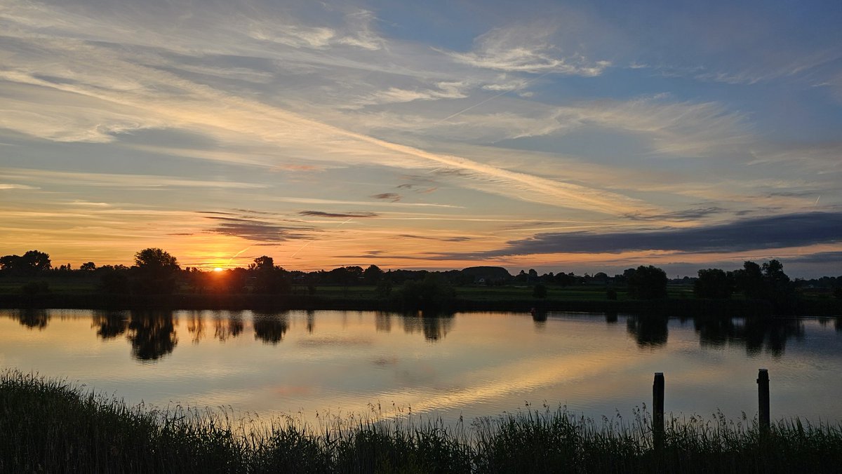 Motormiss's tweet photo. Zonsopgang, klaprozen en hommels, vanmorgen zomaar weer even genieten langs de Afgedamde Maas. De koelte, de rust, de natuur komt tot leven, er komen kleuren tevoorschijn.... hoe mooi wil je 't hebben 🌺
#Andel #Altena #afgedamdemaas #zonsopgang https://t.co/2gL2dSrM7Z