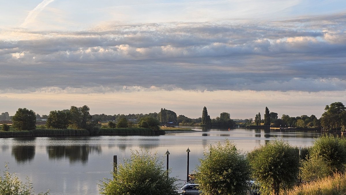 Motormiss's tweet photo. Zonsopgang, klaprozen en hommels, vanmorgen zomaar weer even genieten langs de Afgedamde Maas. De koelte, de rust, de natuur komt tot leven, er komen kleuren tevoorschijn.... hoe mooi wil je 't hebben 🌺
#Andel #Altena #afgedamdemaas #zonsopgang https://t.co/2gL2dSrM7Z