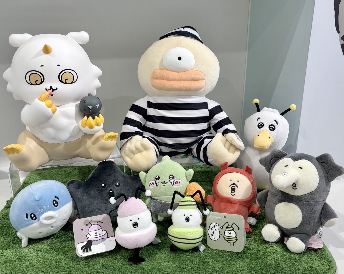 しぇいこん (@jyugonwife) / Posts / X