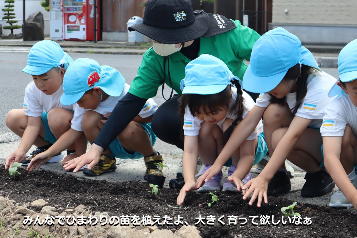 TP_kouhou's tweet photo. 【鳥取警察署】
　ひまわりの絆プロジェクトの一環として、大正こども園の年長さんと一緒に、鳥取市内の亀井堂にひまわりを植えました。大きく育って欲しいなぁ。みんな見に来てね。 https://t.co/4mCzd9Bfj4