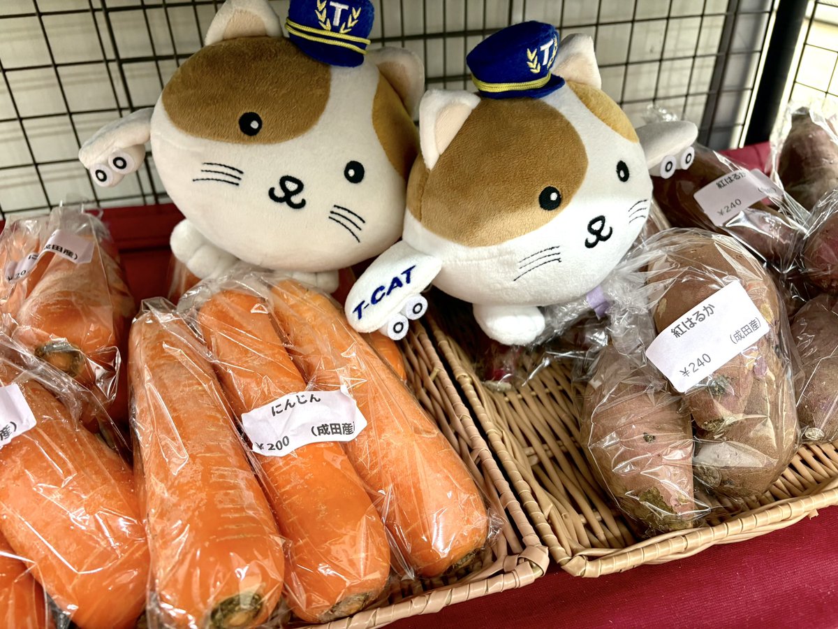 ω・)/毎週木曜は