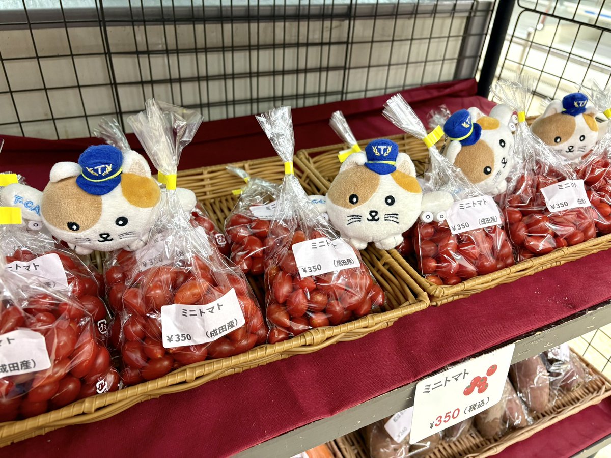ω・)/毎週木曜は