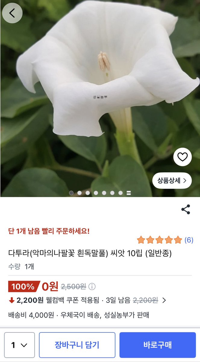 KoGaribi's tweet photo. 화……화타님? https://t.co/s2AbAHMFPD