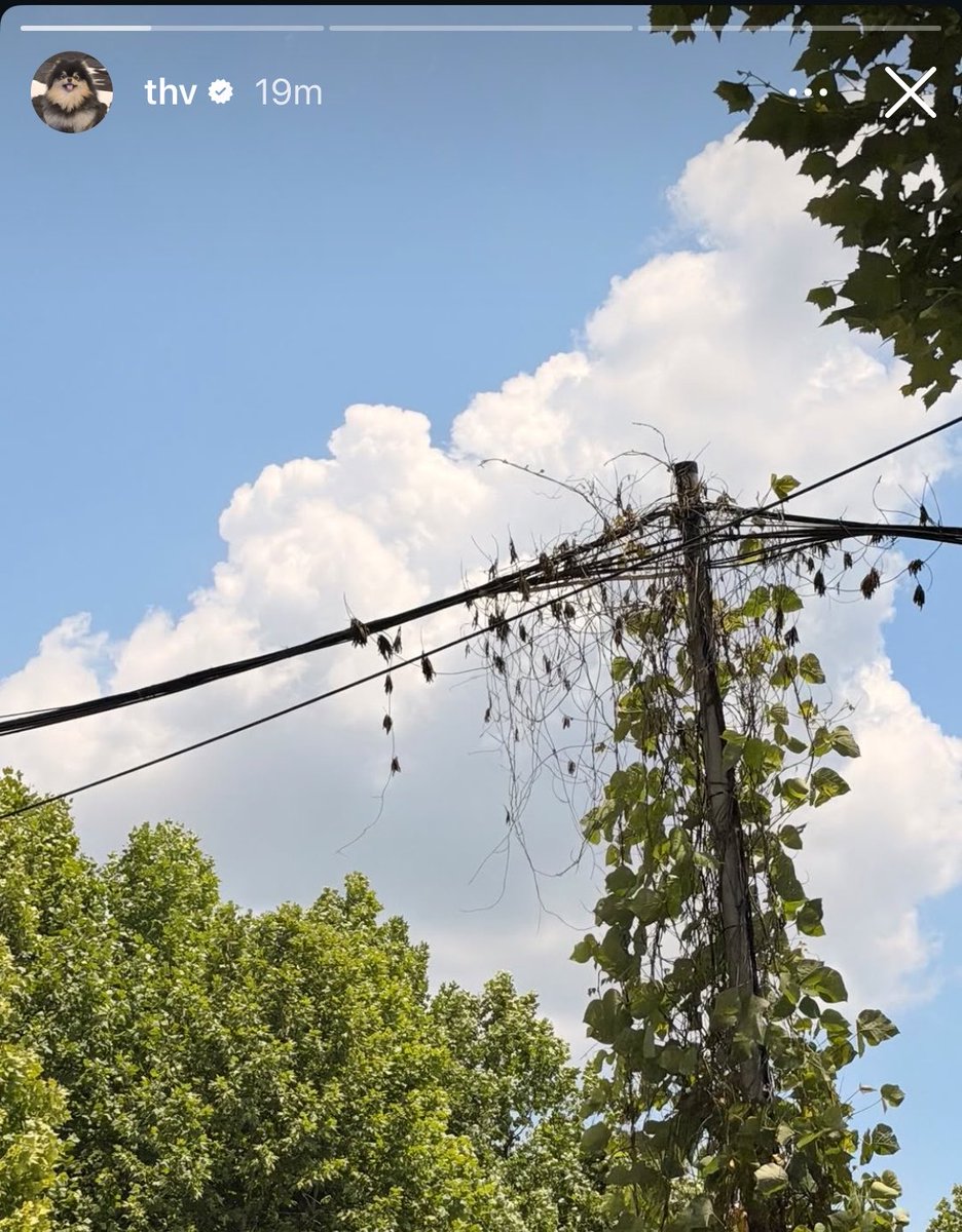 k1nGnAmj0on's tweet photo. Aesthetic na pala para kay taehyung yung wires eh wala yang wires na yan diyan sa sokor intayen mo pag lapag mo dito sa pinas mas aesthetic dito par https://t.co/2foRX2IljF
