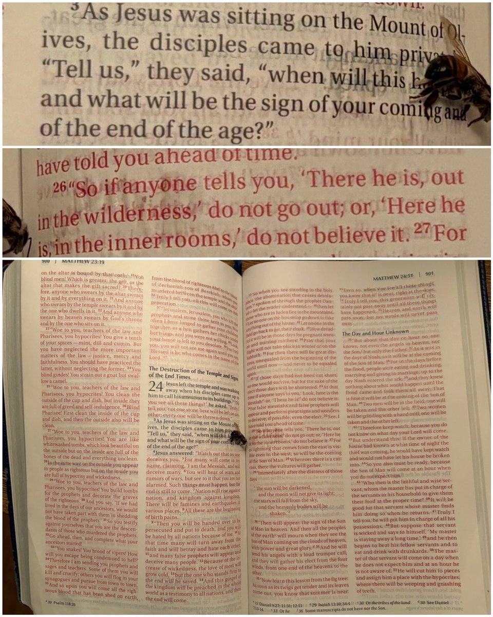 TheRubberDuck79's tweet photo. JUST HAPPENED... laying down in bed right now with mrs. duck going to sleep... mrs. duck reads the Bible before bed...

all of a sudden - she freaks!

what are the chances - out of nowhere - a bumblebee crawls upon the middle of her Bible as she's reading - at which point she instinctively closes the Bible ending the life of the bee. [it would've died had it stung either of us anyway].

BUT LOOK at the scripture it passed away on??

are you kidding me?