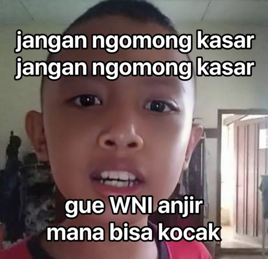 siamaww's tweet photo. https://t.co/J4J7B4psRh