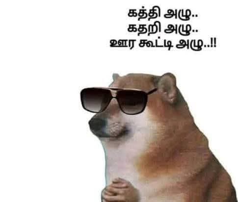 vhkhein's tweet photo. @News18TamilNadu https://t.co/ovfo5e3fnp