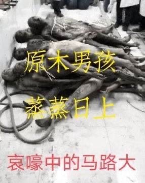 萨格尔王 tweet media