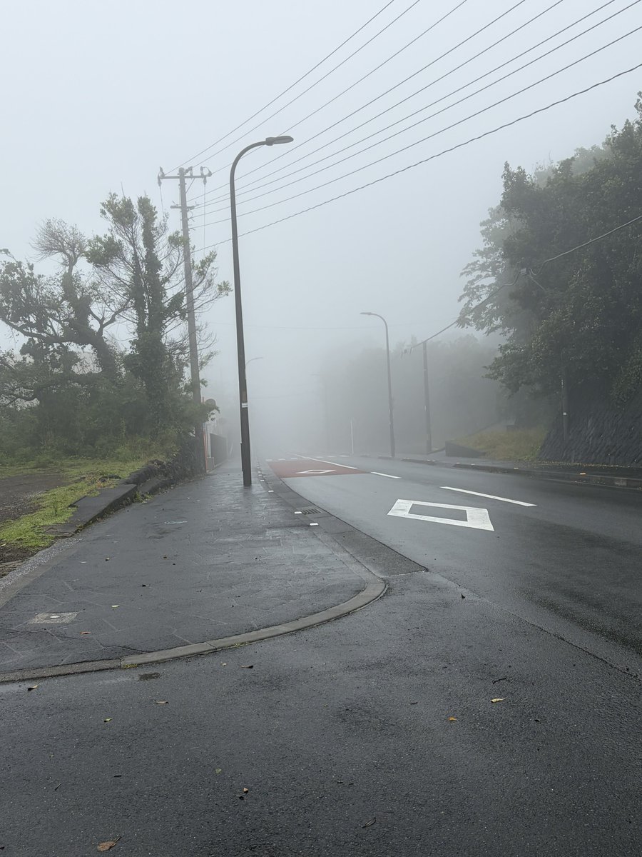 Eh5gSYDljbaptq5's tweet photo. #copain #八丈島 #八丈島グルメ #日替わり #お昼ごはん https://t.co/zaVH0PLai6