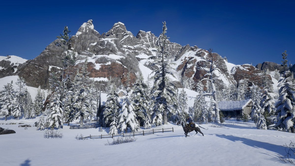 EKboogie's tweet photo. 白銀の世界を旅するアーサー・モーガン🏇
#RedDeadRedemption2 #RDR2 https://t.co/UtJAcYRjli