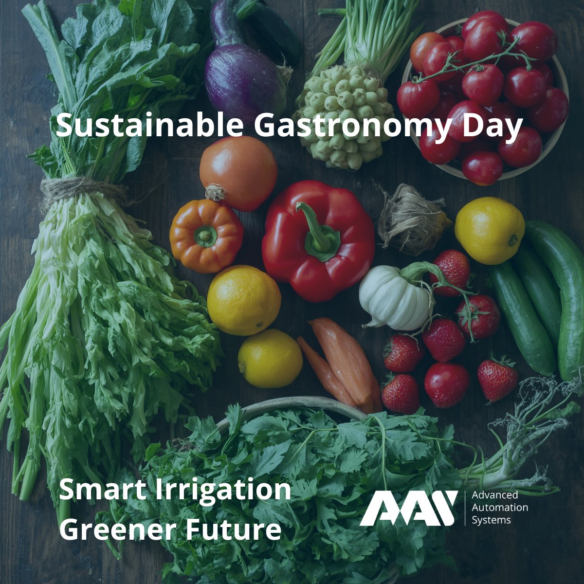aasystemseu's tweet photo. Sustainable Gastronomy Day
https://t.co/3b30vWsKvZ
Smart Irrigation Greener Future
#AAS #SustainableGastronomyDay #DripIrrigation #SustainableAgriculture #FoodSecurity #WaterConservation #FarmToTable #Sustainability #SmartIrrigation #GreenerFuture https://t.co/QxFEJO6LEI
