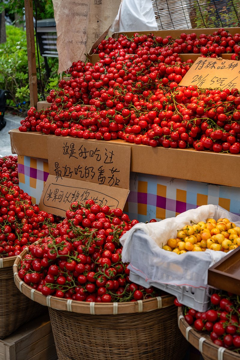 QingpuShanghai's tweet photo. #InnovativeQingpu This #DragonBoatFestival, #Qingpu's Panlong Xintiandi invites you to a riverside escape where centuries-old Jiangnan waterways meet contemporary #lifestyle. Wander through historic lanes, explore quality dining options, lifestyle boutiques and creative stores, and enjoy a relaxed getaway by the water. #ShoppingInChina