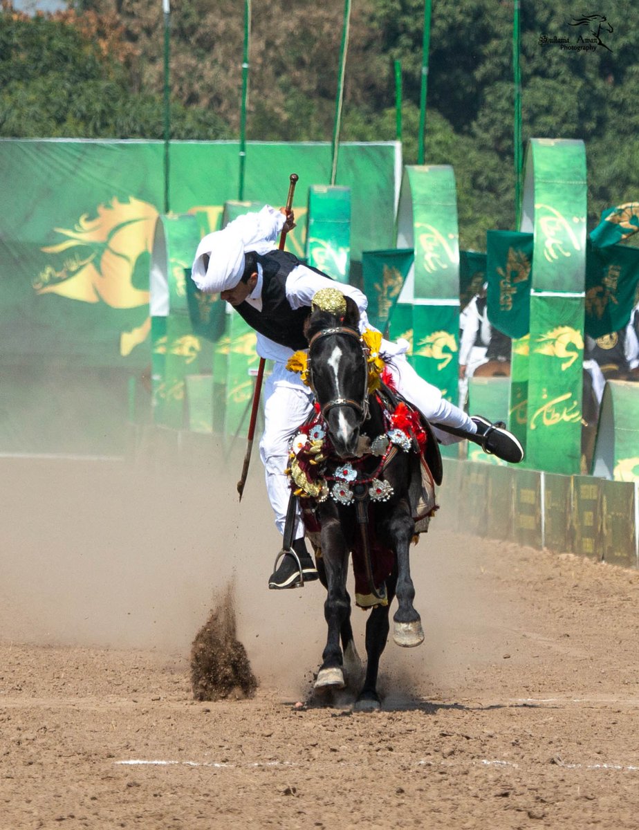 SultanNezaBaziT's tweet photo. Riders at Sultan Nezabazi Tournament.
.
.
. 
#SultanNezaBaziTournament #sports #NezaBazi #equestrian #tentpegging #horses #horseloverforever #beauty #culture #Pakistan https://t.co/Hdc088U2zB