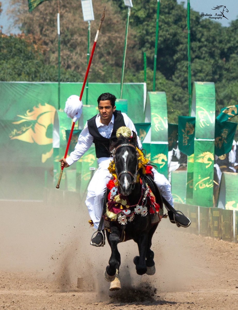 SultanNezaBaziT's tweet photo. Riders at Sultan Nezabazi Tournament.
.
.
. 
#SultanNezaBaziTournament #sports #NezaBazi #equestrian #tentpegging #horses #horseloverforever #beauty #culture #Pakistan https://t.co/Hdc088U2zB