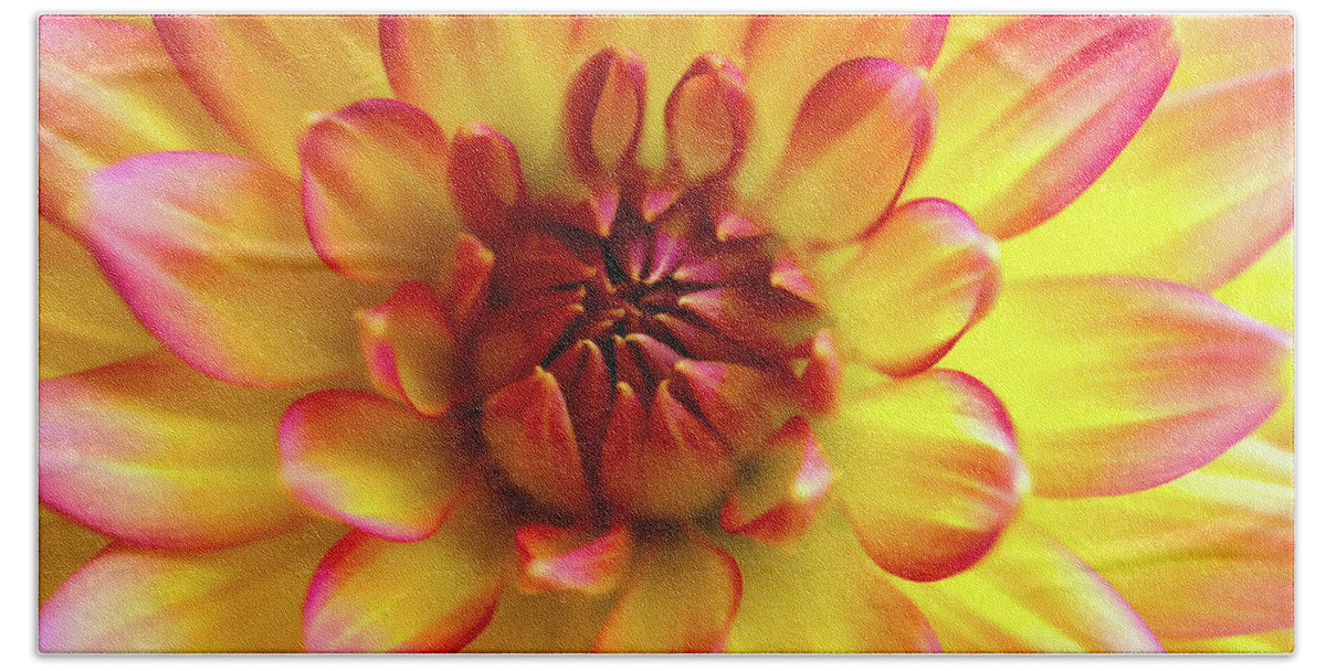 HurmerintaArt's tweet photo. Fantastic beach and bath towels. Choose the image you want printed on the front.
#towels #summertime #art #artistmade
https://t.co/PEfRPfbtTH https://t.co/4dYpA4qdVy