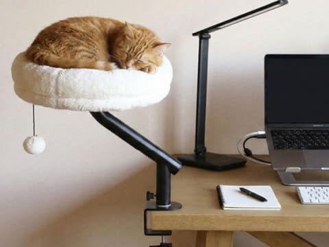 funya3's tweet photo. 「猫はなぜキーボードに乗る？」から生まれたデスクサイド用猫ベッド、シービージャパンが発売 - INTERNET Watch
https://t.co/762PB0cTv4
猫クッション置いても、そこに座らない未来が見える(´･ω･`)
猫って飼い主の注目をあびたいからキーボードの上に座るわけだし https://t.co/X7Od3A0jJe