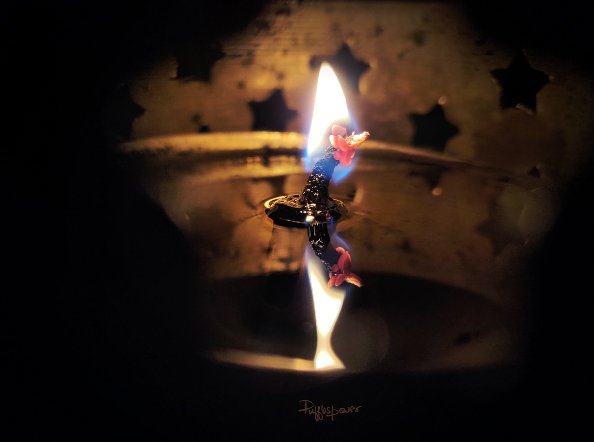 pufflespower's tweet photo. Flame flower
#photography #oillamp https://t.co/tno2QfZ9bx