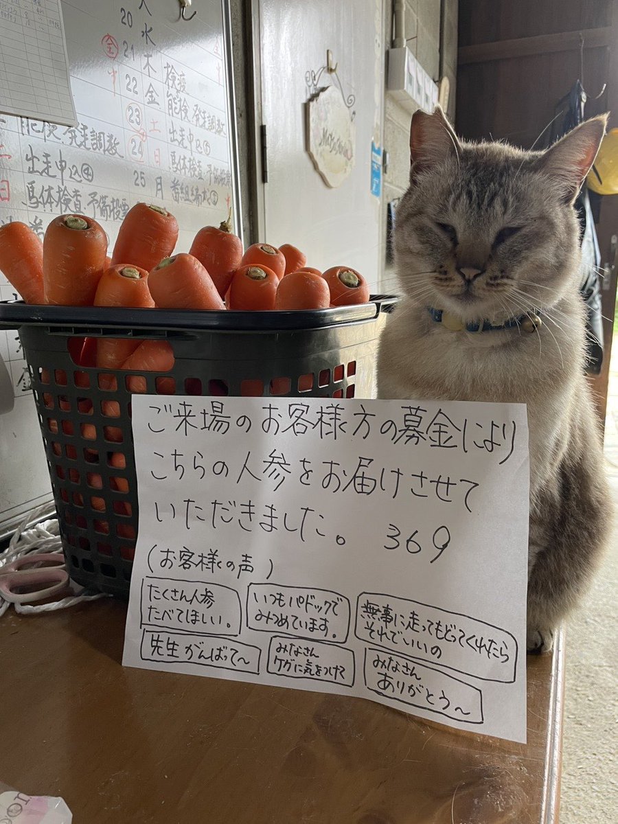 Xian99k's tweet photo. ⑥-1 松島厩舎

荒尾競馬場閉場の後佐賀へ。
長男様は荒尾競馬場の元騎手さん、（先生も元騎手さん）次男様は調教助手としてご活躍されています。奥様も含めご家族皆様で厩舎を盛り立てていらっしゃるイメージがあります。松島厩舎様がこれから益々ご活躍されますよう祈っています。
現在の管理馬21頭 https://t.co/okWpRtFxNS