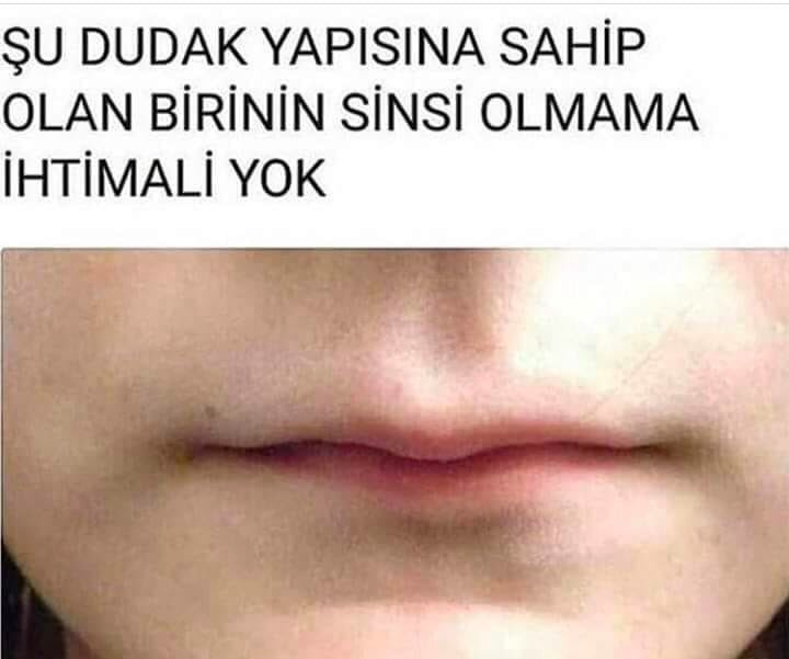 Safsata Canavarı tweet media