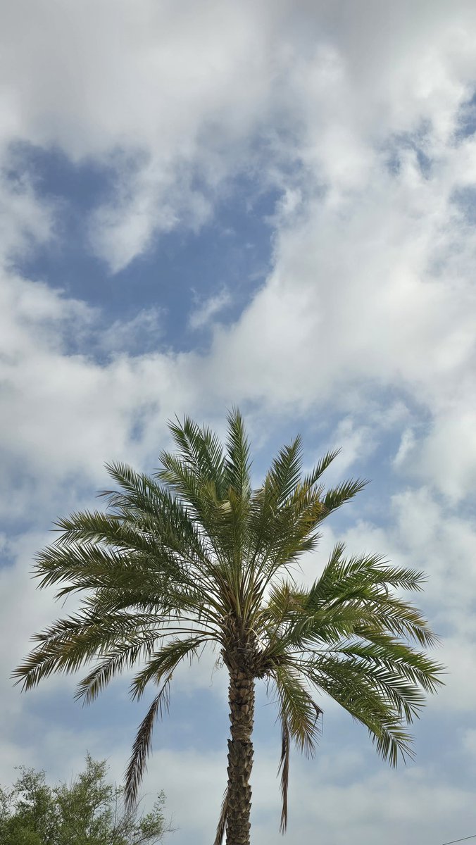 mosam960's tweet photo. انتشار سحب الكوس بكثافة في ولاية شناصَ
#بعدسة خليفة الريسي
#شبكة_الغيث_للطقس https://t.co/F22kZJ4OVI