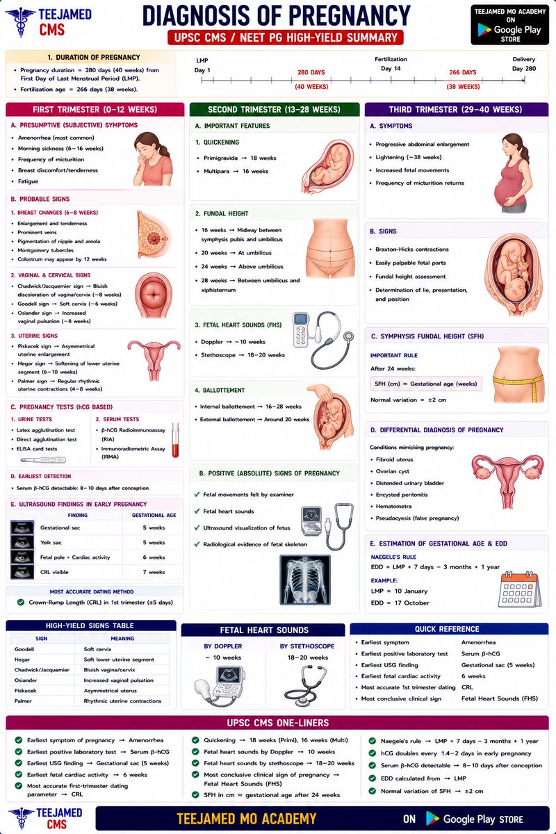 UPSCcms's tweet photo. Diagnosis of pregnancy important for UPSC CMS /Neet pg #mbbs 

https://t.co/2JlRZNOnbo https://t.co/asgV6fkVFY