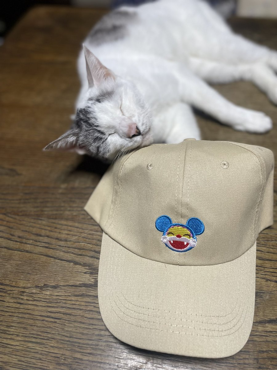 CatcatcatCo's tweet photo. ニャンちゅうのキャップを買いました😼 https://t.co/A0ZDpTqMKm