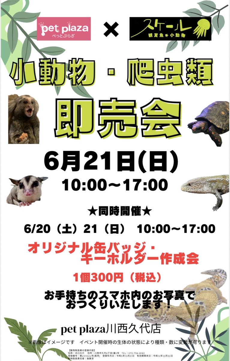 petshop_scale's tweet photo. 6月21日はコーナンペットプラザ川西久代店の即売会に参加致します。約1年ぶりの川西久代店、楽しみにしています。オールペットで参加します。よろしくお願いします。 https://t.co/k8Au4VxsNo
