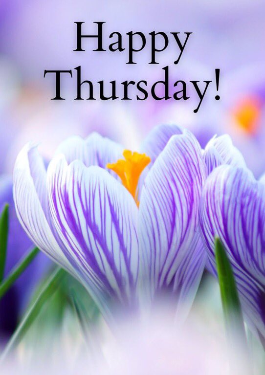 flakkis99's tweet photo. Happy Thursday Tweethearts 

May the Lord open our eyes to opportunities hidden in ordinary moments and grant us the courage to walk through every door He opens. Amen 🙏 https://t.co/JSF2uzYqqY
