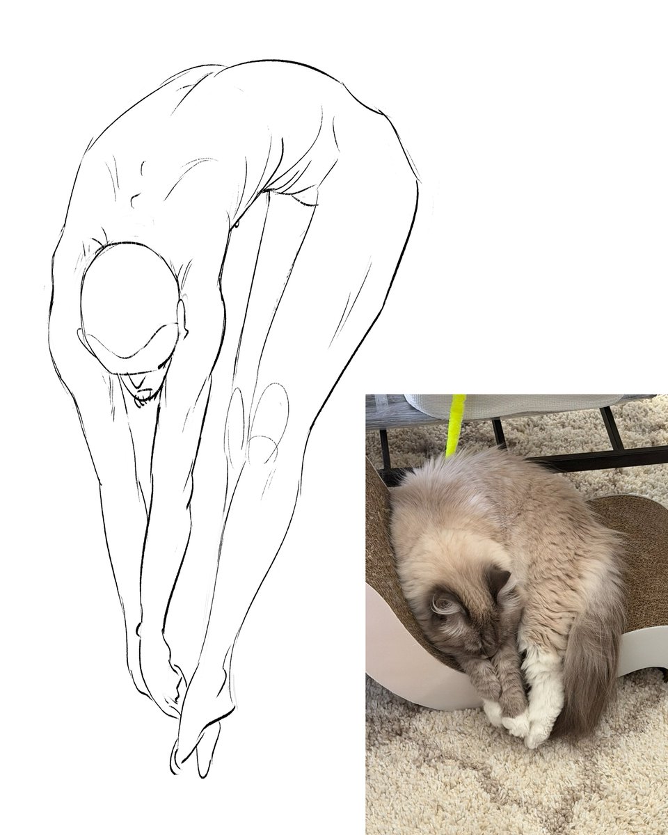 ibon_w's tweet photo. drawing people with my cat as reference was a mistake https://t.co/FtoeEO5HNk