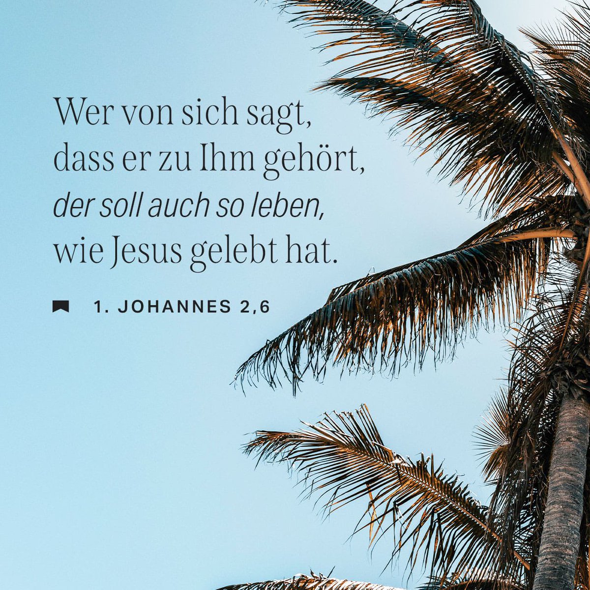 GodinJails's tweet photo. 😌✡️🙏🏼✝️ #Tagesvers #Leben #HaShem #Christus #Bibel https://t.co/sTnxuvdKBR
