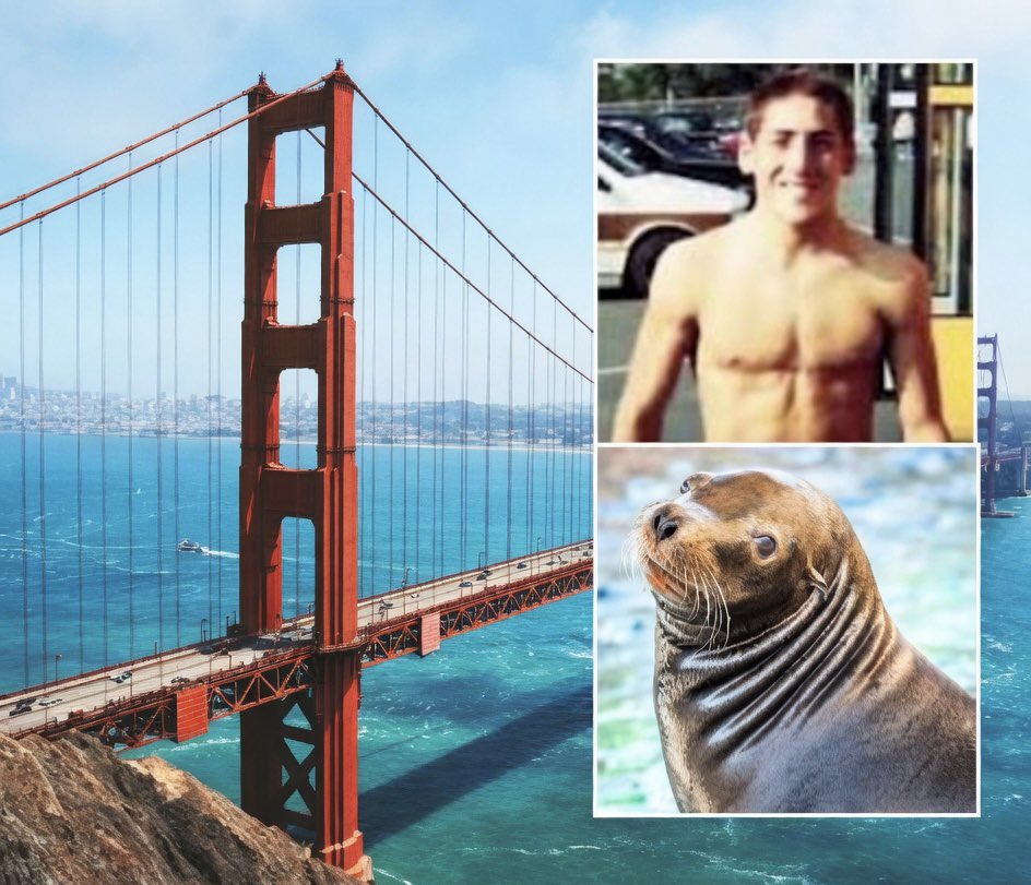 mistapussy's tweet photo. Incredibly real. I often think about Kevin Hines, who jumped off the Golden Gate Bridge in 2000 and was saved by a sea lion who nudged his body above water until the coast guard came 🦭 https://t.co/lH2w6WhVDf