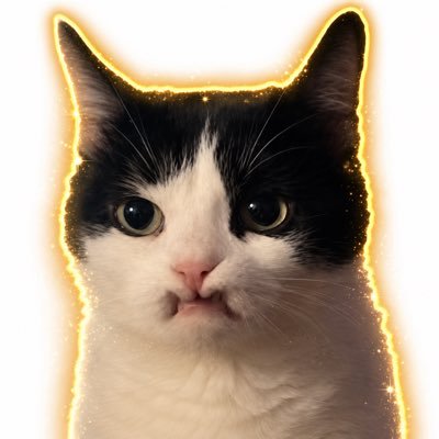 worldcryptog's tweet photo. @mrpunkdoteth https://t.co/Ji8fEYCLOl