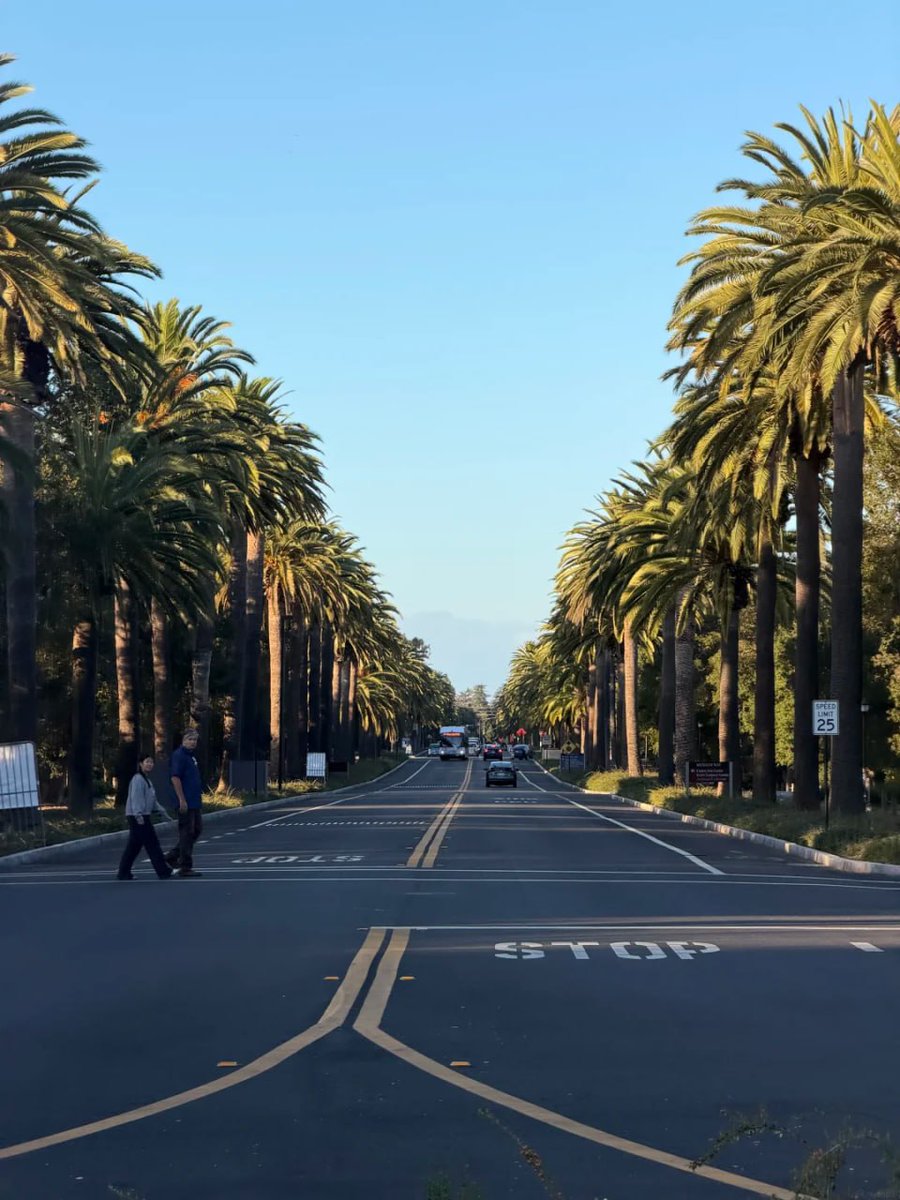 Oakcsames tweet picture